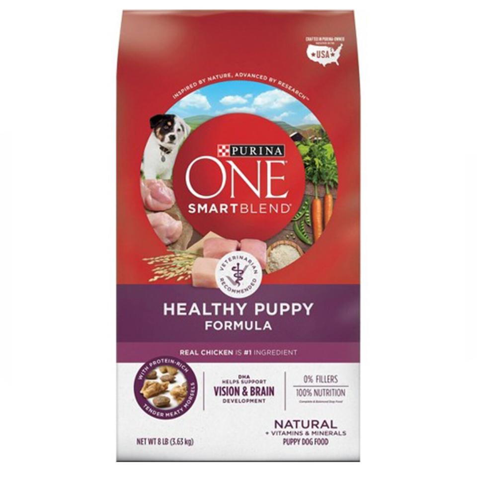 Purina ONE SmartBlend Healthy Puppy Formula Dry Dog Food