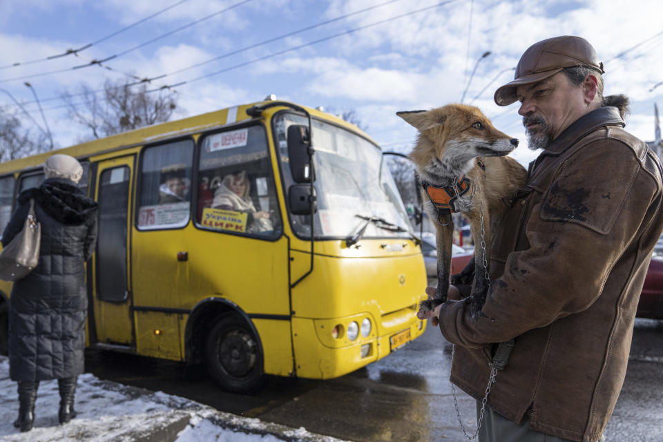 Kostyantyn holds his fox Ksiuha while they wait for a bus in Kyiv, Ukraine, Tuesday, Feb. 7, 2023. (AP Photo/Evgeniy Maloletka)