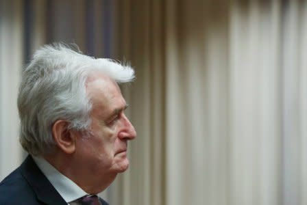 Former Bosnian Serb leader Radovan Karadzic appears in a courtroom before the International Residual Mechanism for Criminal Tribunals (MICT), which is handling outstanding war crimes cases for the Balkans and Rwanda, in The Hague, Netherlands, April 24, 2018.   REUTERS/Yves Herman/Pool