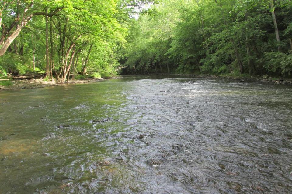 Bald Eagle Creek below Milesburg