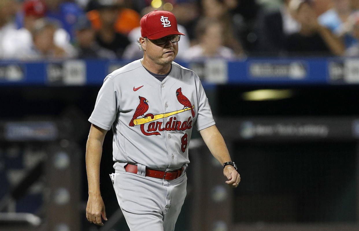 Mike Shildt with the Cardinals.