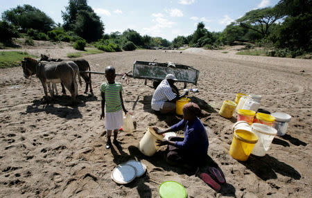 Villagers collect water from a dry river bed in drought hit Masvingo, Zimbabwe, June 2, 2016. REUTERS/Philimon Bulawayo /File Picture