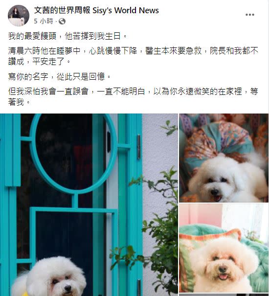 陳文茜悲曝愛犬死訊。（圖／翻攝自文茜的世界周報 Sisy's World News臉書）