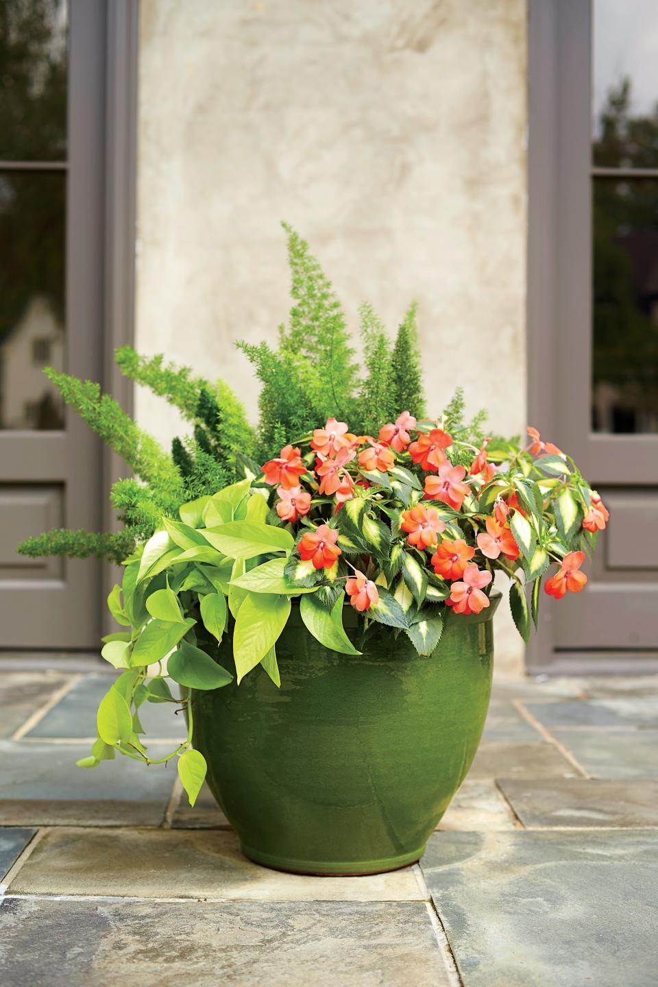 <p>Here it comes—a beautiful container in the sun, that is. This high-drama, low-maintenance container spotlights 'Variegated Spreading Salmon' SunPatiens, but leaves room for a foxtail asparagus fern and a 6-inch pot of 'Neon' pothos. Everything is set in a glazed-ceramic container, its bright green finish complementing the natural colors of the plantings. This is a beautiful example of the keeping it simple container-garden aesthetic. Let the SunPatiens—a strain that resulted from a cross between a New Guinea hybrids and a wild species—be the bright, central focus of this arrangement. Then, let everything else simply help them shine. </p>