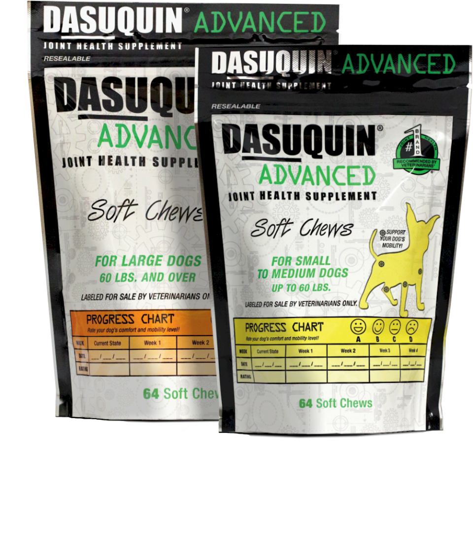 <p><strong>DASUQUIN</strong></p><p>dasuquin.com</p><p><strong>$64.00</strong></p><p><a href="http://www.dasuquin.com/dasuquin-advanced-soft-chews/" rel="nofollow noopener" target="_blank" data-ylk="slk:BUY NOW;elm:context_link;itc:0;sec:content-canvas" class="link ">BUY NOW</a></p><p>Corgi parents everywhere know about this brand, but Dasuquin is great for any dog breed that’s active. It’s the number-one recommendation by vets for joint health and is rigorously tested in laboratories. If you want the advanced formula, though, you’ll need a prescription from your vet.</p>