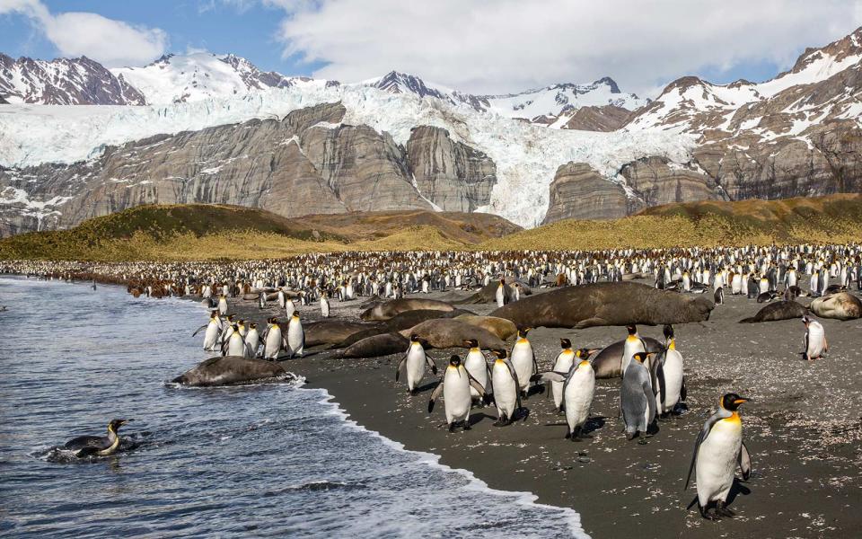 South Georgia and the South Sandwich Islands