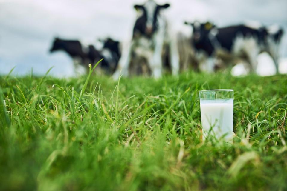 Findings have seen risk increased by a third in women who drink milk (iStock)