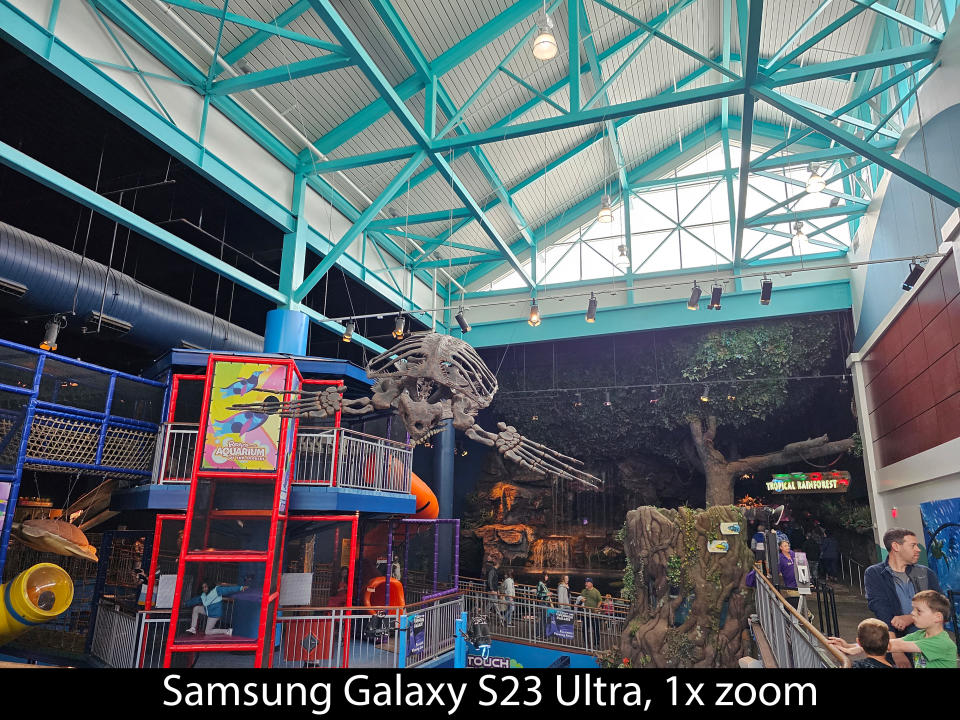 Camera samples from the Samsung Galaxy S23 Ultra's main camera