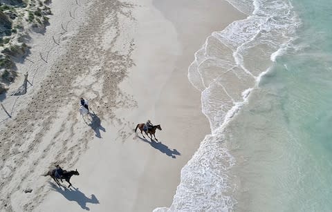 horses on beach, mallorca - Credit: Golearnto