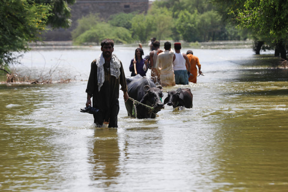 Rising floodwater on the outskirts of Bhan Syedabad, Pakistan