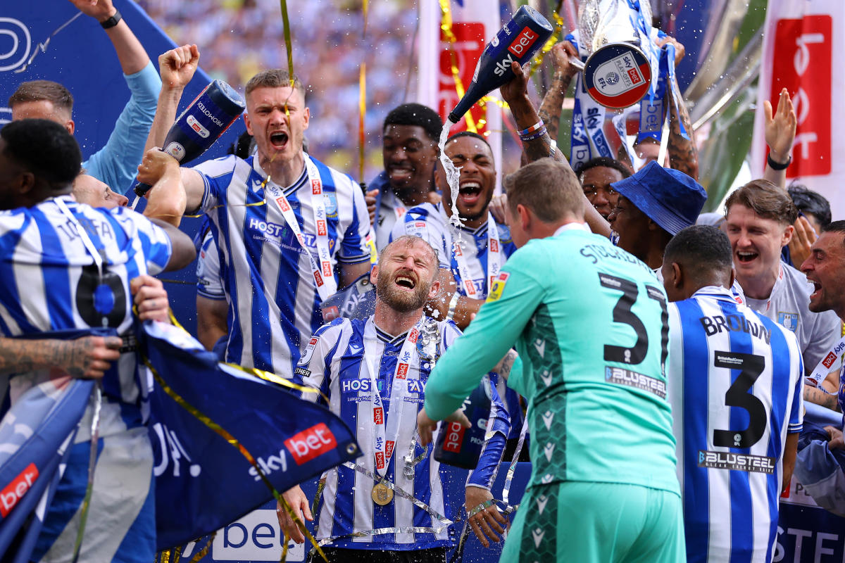 Sheffield Wednesday fixtures: Championship 2017-18 fixtures released -  Daily Star