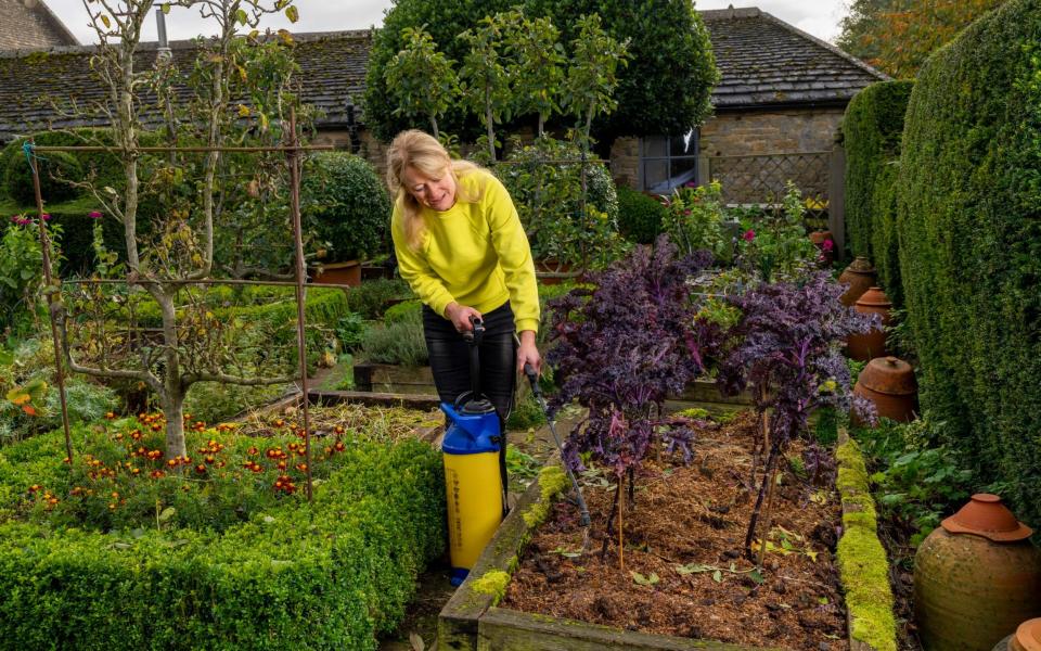 why winter is the best time to experiment in the garden how to cold weather uk 2021 - Andrew Crowley