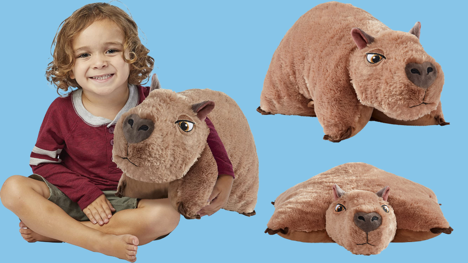 Pillow pets are great for serial nappers and 'Encanto' fans alike.