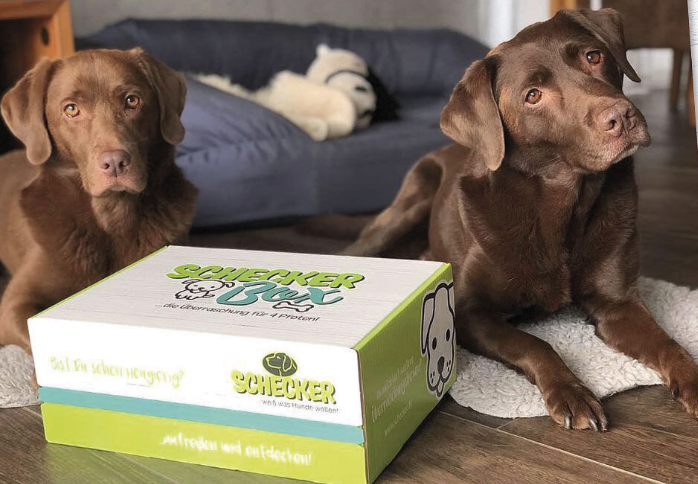 Diese Box macht deinen Hund fit - mit gesunden Köstlichkeiten und tollem Zubehör. (Bild: Schecker)