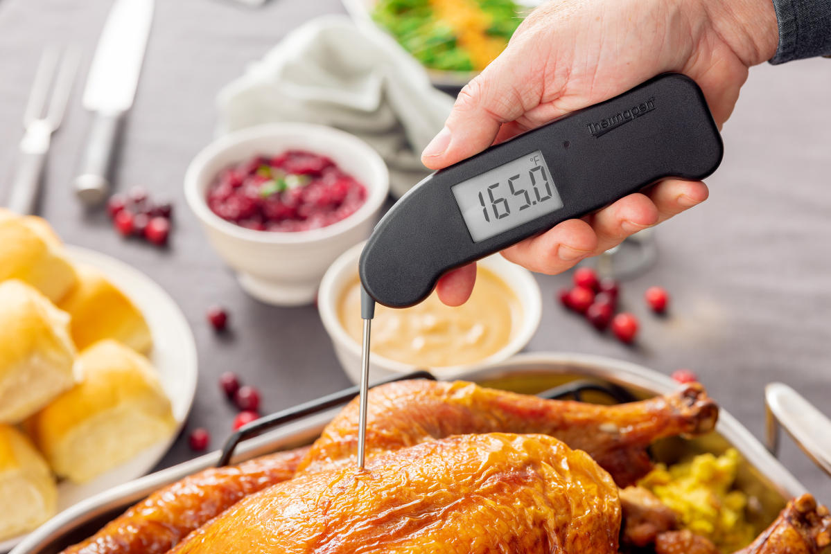 Thermapen One digital meat thermometer review - Reviewed