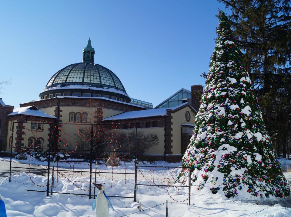 detroit zoo christmas