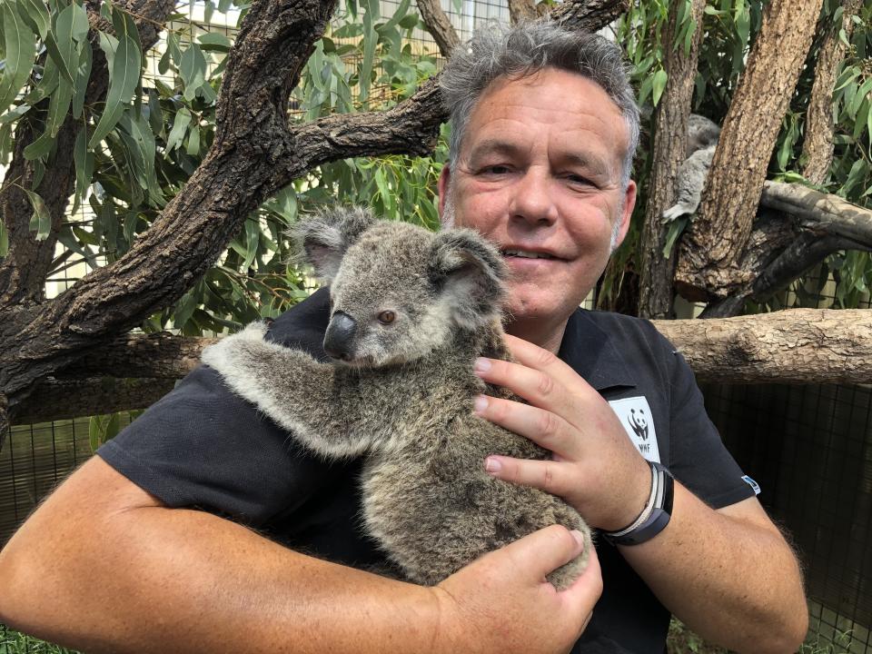 Darren Grover, an official with&nbsp;the World Wide Fund for Nature-Australia enjoys a cuddle with Maryanne as the koala continues her recovery. (Photo: WWF Australia)