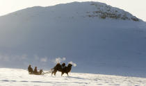 <p>Tuvan shepherds travel on a sled pulled by an Asian two-humped camel in the snow-covered steppe near the nomad camp of farmer Tanzurun Darisyu located in the Kara-Charyaa area south of Kyzyl town, the administrative center of the Republic of Tuva (Tyva region) in southern Siberia, Russia, on Feb. 14, 2018. (Photo: Ilya Naymushin/Reuters) </p>