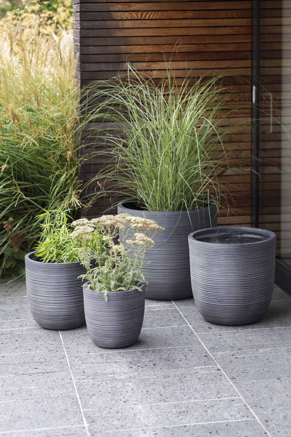 <p>No lawn? <a href="https://www.housebeautiful.com/uk/garden/a30988214/container-gardening/" rel="nofollow noopener" target="_blank" data-ylk="slk:Container gardening;elm:context_link;itc:0;sec:content-canvas" class="link ">Container gardening</a> is a really easy way to get your garden looking beautiful with blooming flowers, and it's especially ideal for patios, balconies or other paved areas. Remember, containers can restrict root growth, so you need to ensure an even water supply and good drainage, and choose the right <a href="https://www.housebeautiful.com/uk/garden/plants/a28431929/garden-compost/" rel="nofollow noopener" target="_blank" data-ylk="slk:compost;elm:context_link;itc:0;sec:content-canvas" class="link ">compost</a>.<strong><br></strong></p><p><strong>Pictured: </strong>Rodborough Planters, <a href="https://go.redirectingat.com?id=127X1599956&url=https%3A%2F%2Fwww.gardentrading.co.uk%2F_all%3Fsearchterm%3DRodborough%2BPlanter&sref=https%3A%2F%2Fwww.housebeautiful.com%2Fuk%2Fgarden%2Fdesigns%2Fg28%2Fgarden-ideas-on-a-budget%2F" rel="nofollow noopener" target="_blank" data-ylk="slk:Garden Trading;elm:context_link;itc:0;sec:content-canvas" class="link ">Garden Trading </a></p>