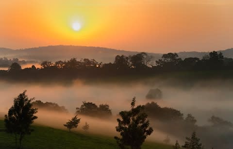 Kibale National Park - Credit: Getty