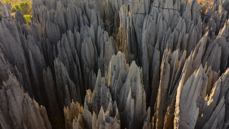 Tsingy de Bemaraha National Park in Madagascar. 