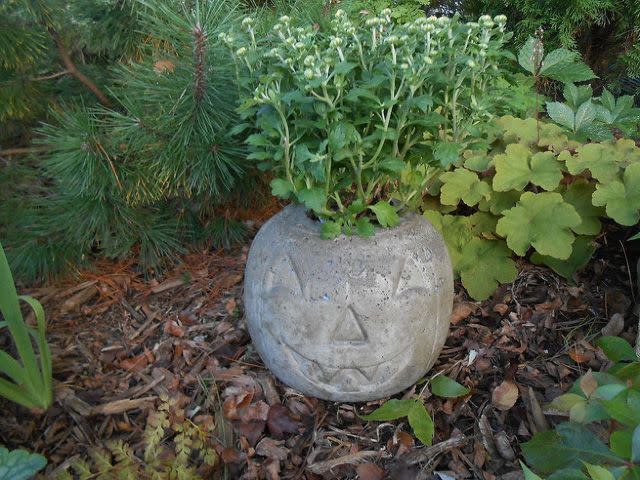 Concrete Pumpkin Planter