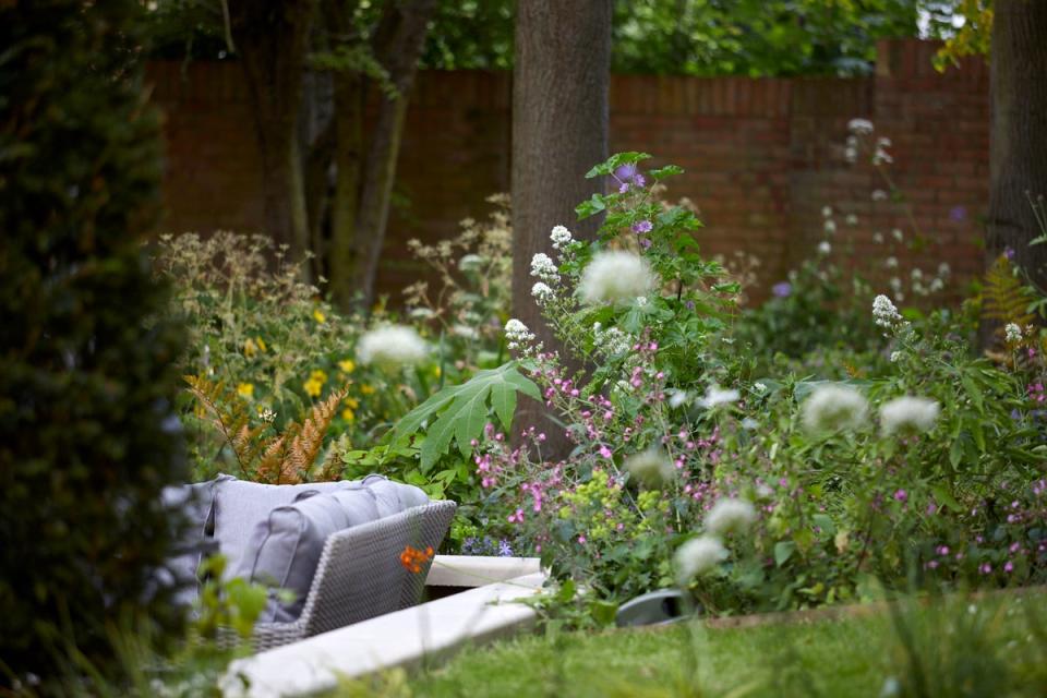 The garden is a place for young people living in the hostel to relax (Britt Willoughby Dyer)