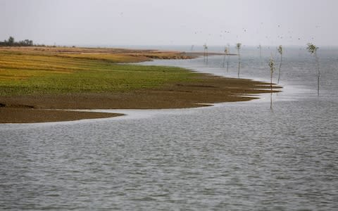 Bhasan Char, a barren island in the Bay of Bengal - Credit: Mohammad Ponir Hossain/Reuters