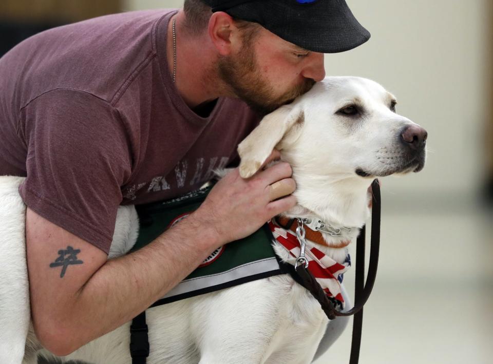 <span class="caption">Jacob Burns, an Iraq war veteran, gets to know his support dog Oct. 5, 2017 in Collinsville, Illinois.</span> <span class="attribution"><a class="link " href="http://www.apimages.com/metadata/Index/Veterans-Support-Dogs/a4be1d002dc4474e9507e73ed30d2456/26/0" rel="nofollow noopener" target="_blank" data-ylk="slk:AP Photo/Jeff Roberson;elm:context_link;itc:0;sec:content-canvas">AP Photo/Jeff Roberson</a></span>