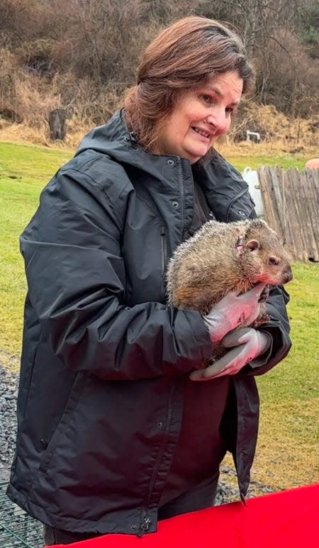 Pocono Wildlife's clinic Manager Kathryn "Kat" Schuster holds Sweet Potato at the center's Groundhog Day event Friday.