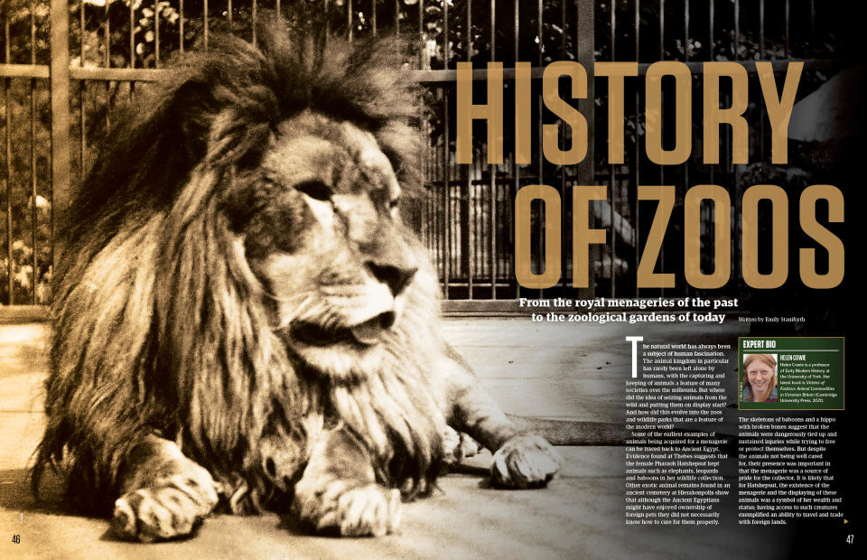 History of Zoos feature spread, All About History 127