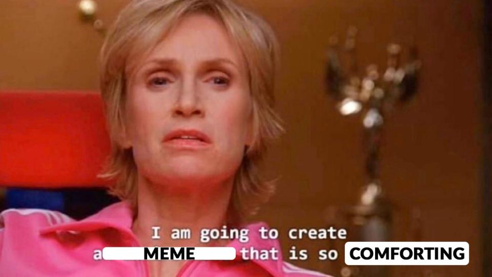 The popular Jane Lynch meme from Glee