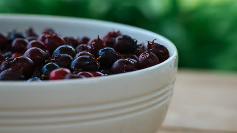 Bowl with fresh juneberries