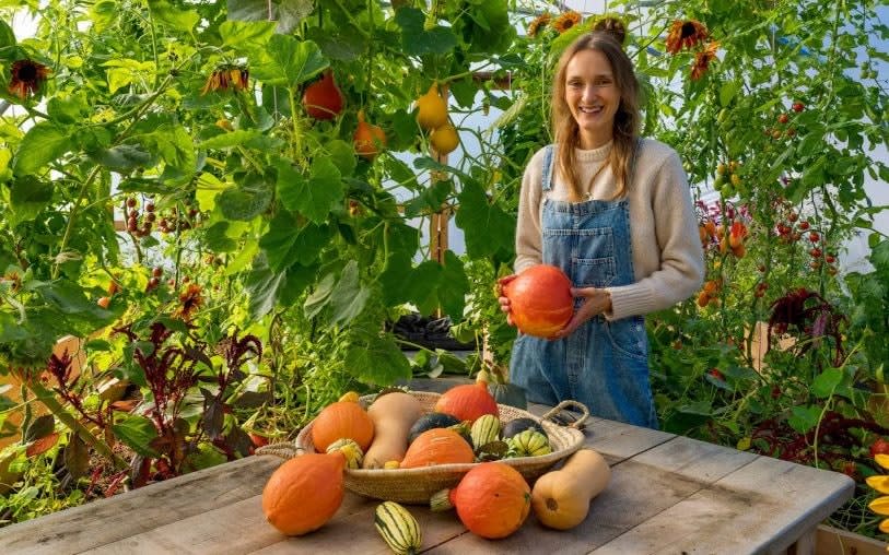 pumpkin picking winter vegetable patch gardening jobs september 2024 what to plant tidy things to do