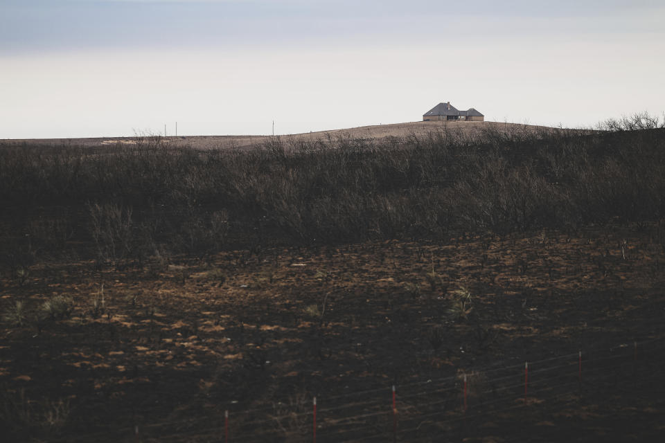 A residence on the outskirts of town survives after the Smokehouse Creek fire, on Thursday, Feb. 29, 2024, in Canadian, Texas. (AP Photo/David Erickson)