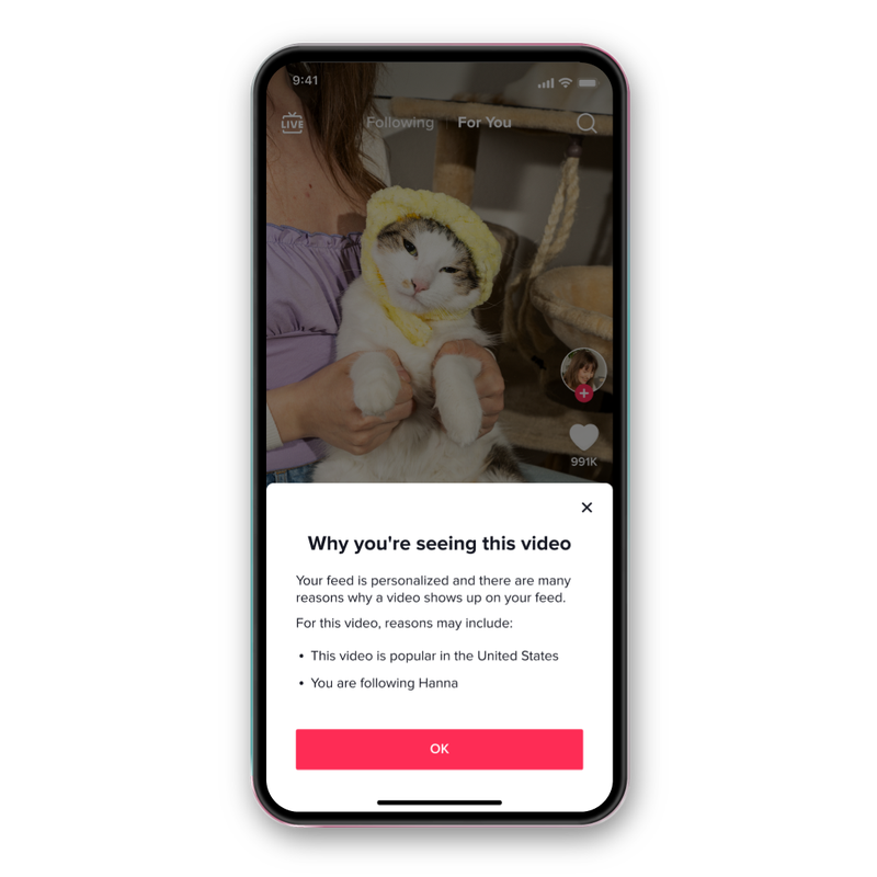 TikTok created a new algorithm transparency tool