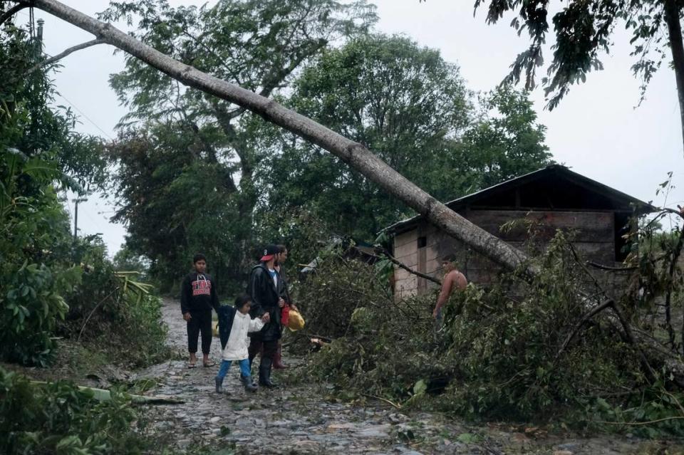 A fallen tree lies on the road after the passage of Hurricane Iota in Siuna, Nicaragua, Tuesday, Nov. 17, 2020. Hurricane Iota tore across Nicaragua on Tuesday, hours after roaring ashore as a Category 4 storm along almost exactly the same stretch of the Caribbean coast that was recently devastated by an equally powerful hurricane.