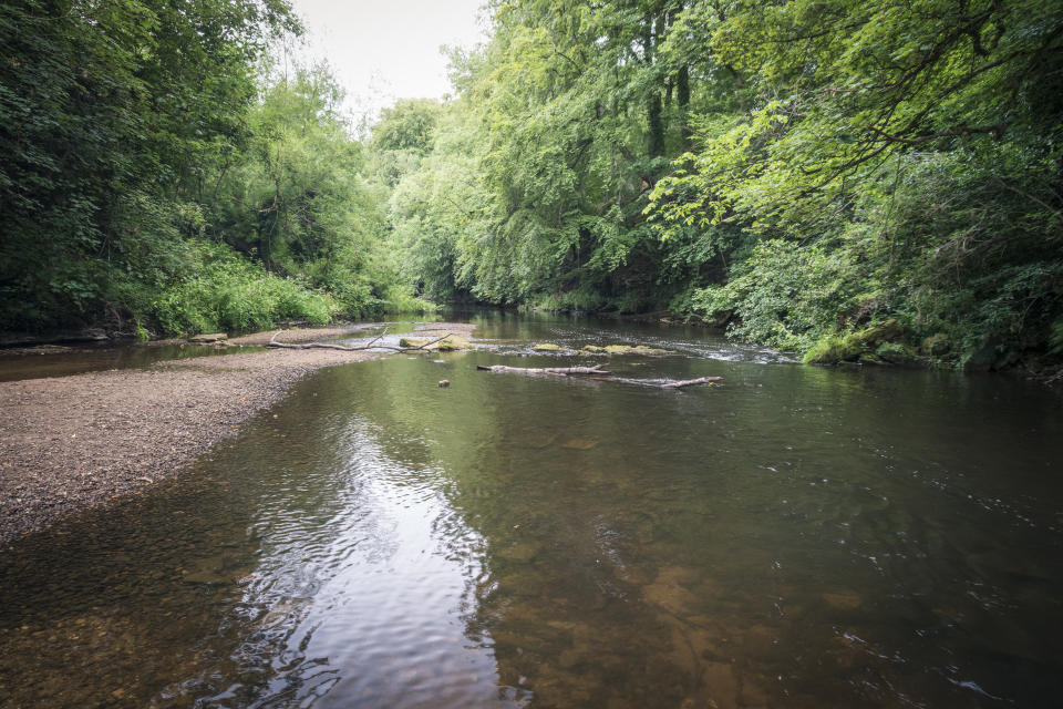 The River Nidd which runs through the town of Knaresboroughin North Yorkshire