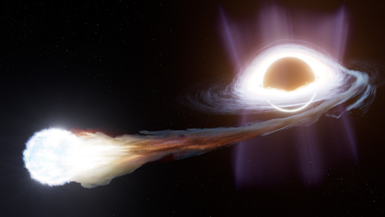  An illustration shows a black hole ripping apart a massive star in a tidal disruption event. 