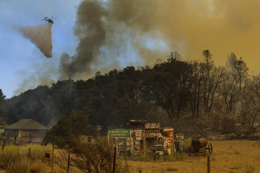 VALYERMO, CA - SEPTEMBER 19: Bobcat Fire burns along Largo Vista Road on Saturday, Sept. 19, 2020 in Valyermo, CA. (Irfan Khan / Los Angeles Times)