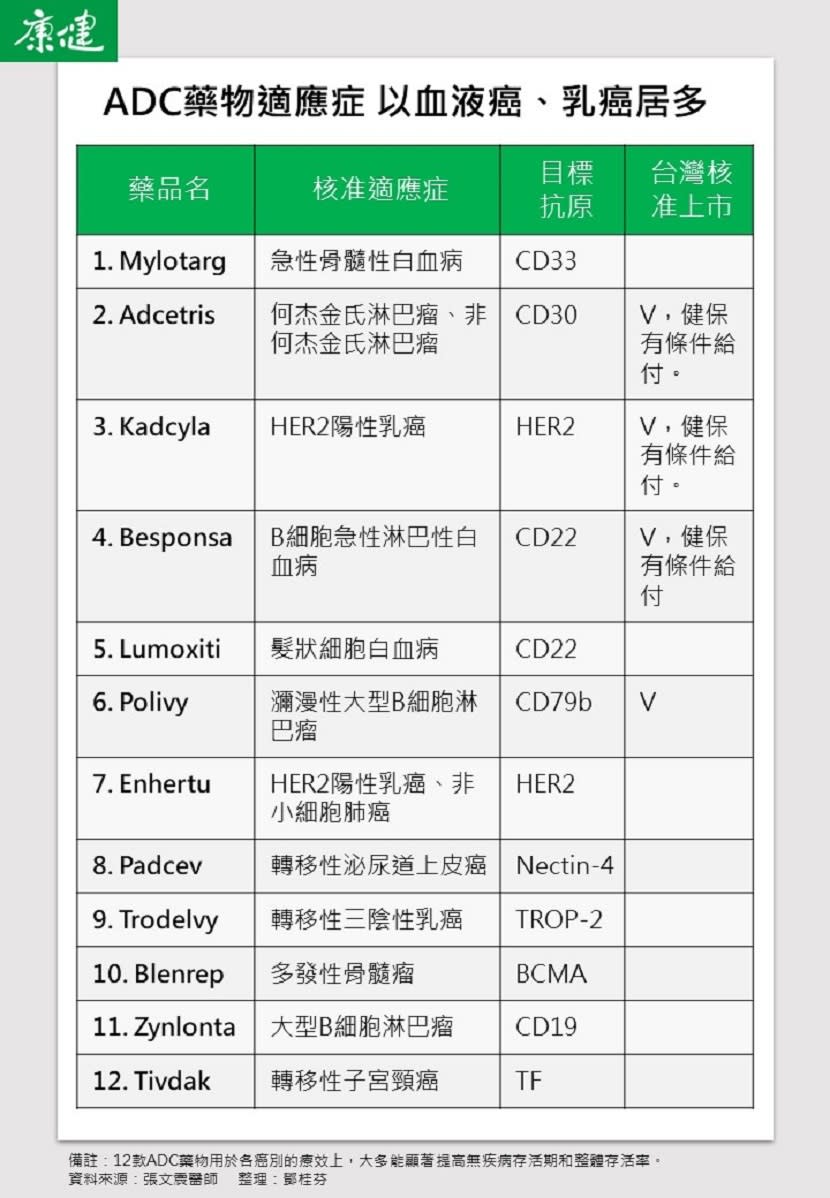 ADC藥物適應症。圖片來源 / 鄧桂芬製圖