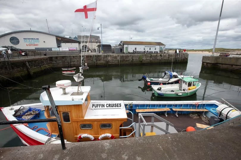 Amble harbour