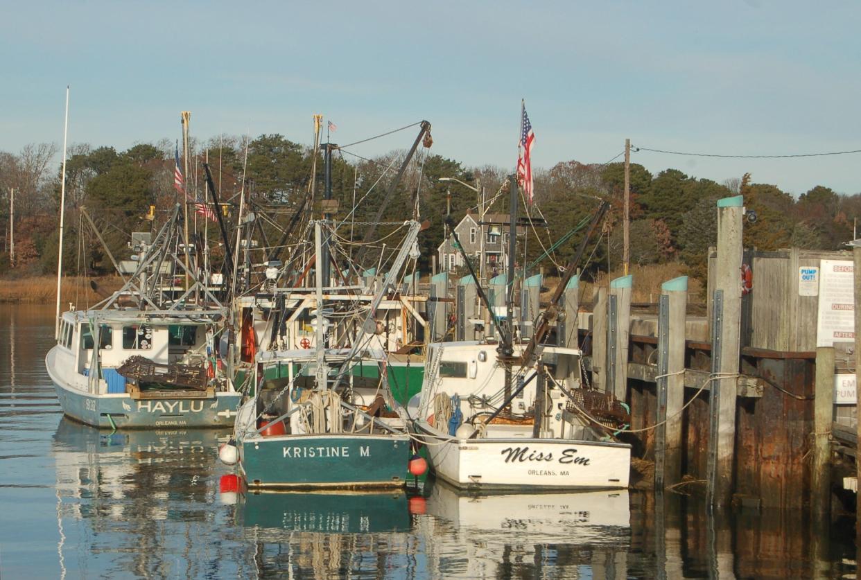 The Orleans Select Board voted to withdraw plans for a parking fee at Rock Harbor after a wave of criticism from residents and businesspeople during a public hearing. Above, the commercial fleet moored at Rock Harbor.