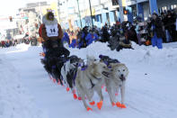 Defending champion Brent Sass mushes his dog team down Fourth Avenue during the Iditarod Trail Sled Dog Race's ceremonial start in downtown Anchorage, Alaska, on Saturday, March 4, 2023. The smallest field ever of only 33 mushers will start the competitive portion of the Iditarod Sunday, March 5, 2023, in Willow, Alaska. (AP Photo/Mark Thiessen)