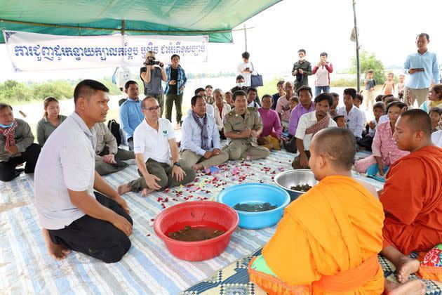 <p>Dans le Mékong au Cambodge, l'ONG américaine Wildlife Conservation Society (WCS) a coordonné la libération de 580 bébés tortues géantes asiatiques qui pourront atteindre 2 mètres à l'âge adulte et peser plus de 100 kilos.</p>