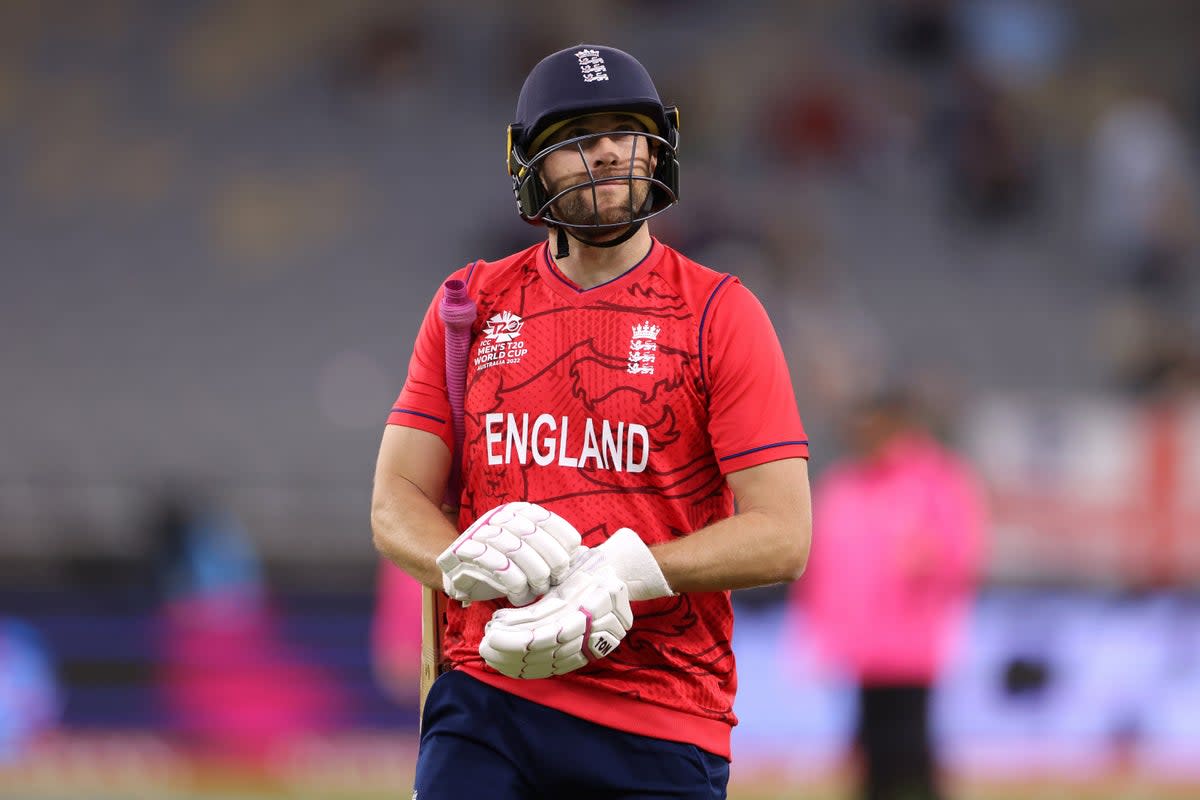Dawid Malan impressed once again for England (PA) (PA Wire)