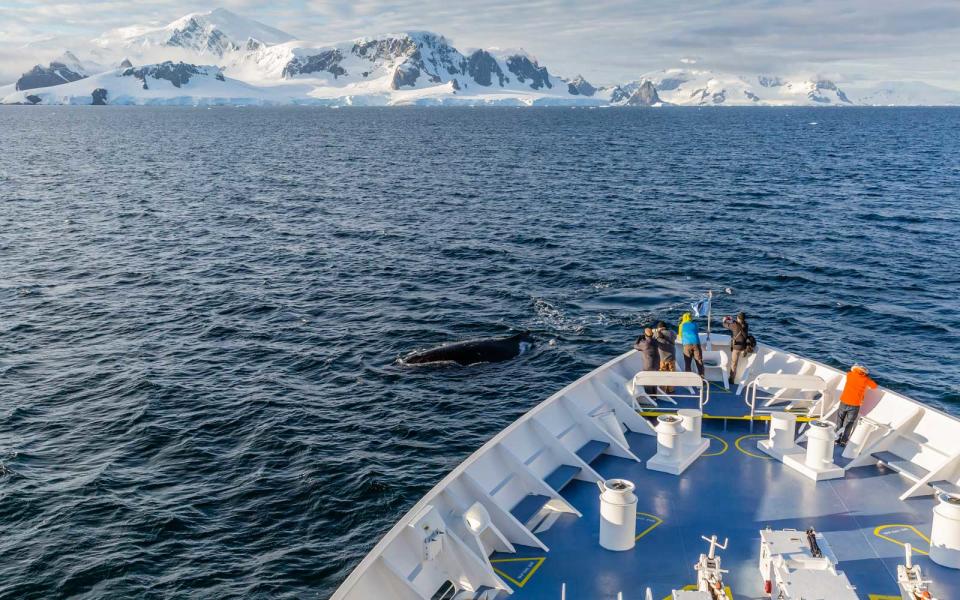 Lindblad Expeditions