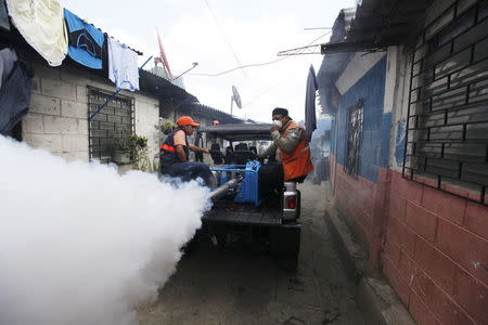 City health workers fumigate the Guadalupe community as part of preventive measures against the Zika virus and other mosquito-borne diseases in Santa Tecla, El Salvador February 3, 2016. REUTERS/Jose Cabezas