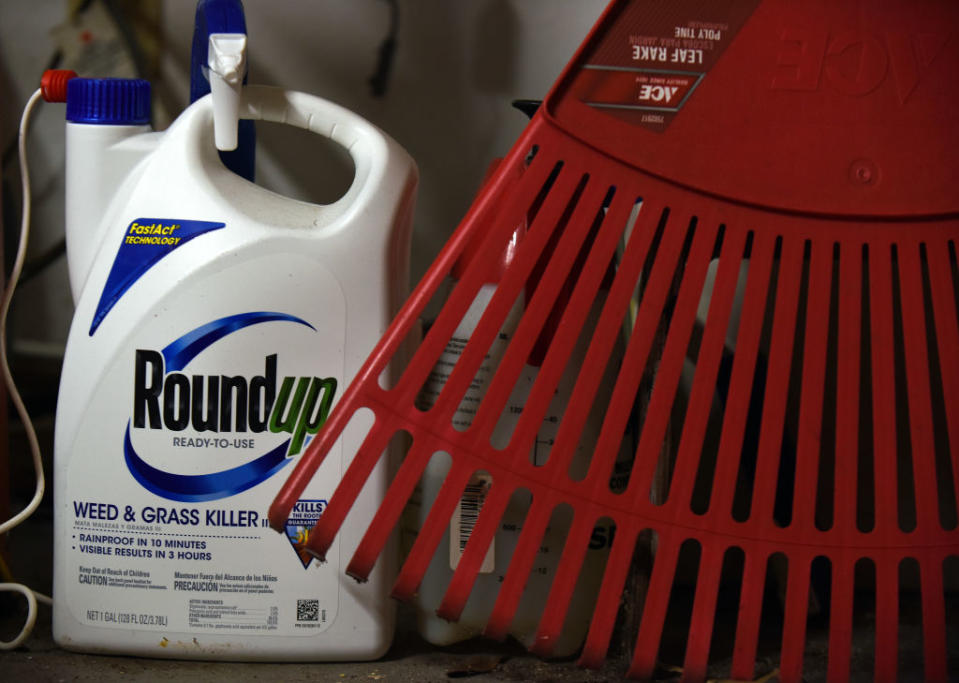 March 27, 2019 - Orlando, Florida, United States - A container of Roundup weed killer is seen in a garage in Orlando, Florida, on March 27, 2019, the day a California jury awarded $80 million in damages to a man who claimed the herbicide gave him cancer. Bayer, the parent company of Monsanto, the product's maker, said it would appeal the verdict.  (Photo by Paul Hennessy/NurPhoto via Getty Images)