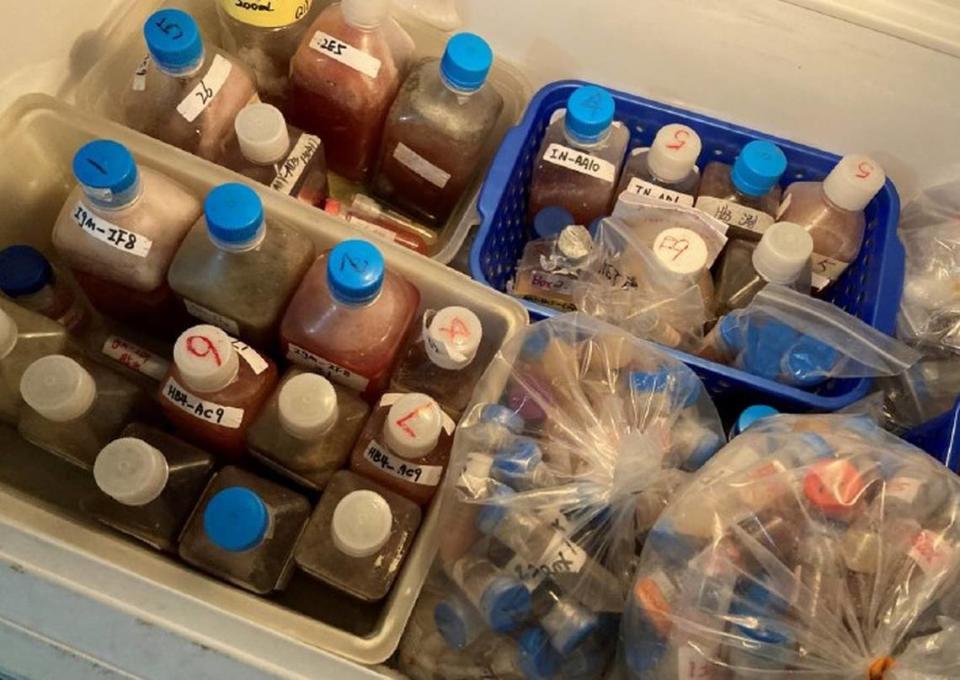 A photo taken during the spring 2023 investigation of a Chinese-owned laboratory operating illegally in Reedley, CA, shows the contents of one freezer found stored in the warehouse, including containers and vials of blood, serum, and biological agents.